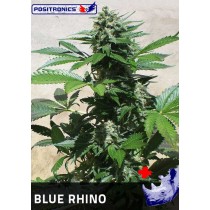 Blue Rhino Femenina - Positronics