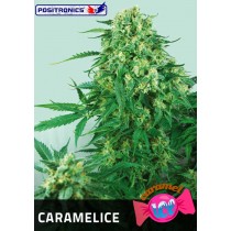 Caramelice Femenina - Positronics