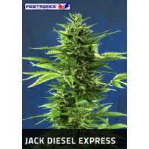 Jack Diesel Express Femeninas - Positronics