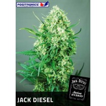 Jack Diesel Femenina - Positronics