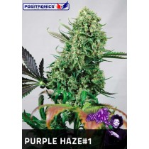 Purple Haze #1 Femeninas - Positronics