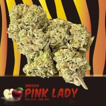Flor de CBD Indoor - Pink Lady Houseplant
