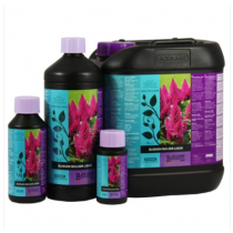 Blossom Builder (B´Cuzz) - 250ml