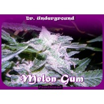Melon Gum – Dr. Underground