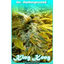 King Kong – Dr. Underground