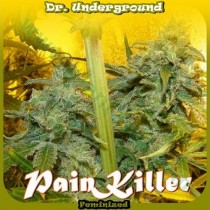 Painkiller – Dr. Underground