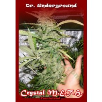 Crystal M.E.H.T – Dr. Underground