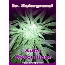 Auto Melon Gum – Dr. Underground