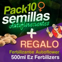 Regalo Autoflower + 10♀ Houseplant Seeds Autoflorecientes