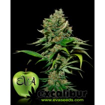 Semillas Excalibur Eva Seeds