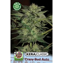 Crazy Bud – Kera Seeds