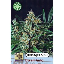 Kera Dwarf – Kera Seeds