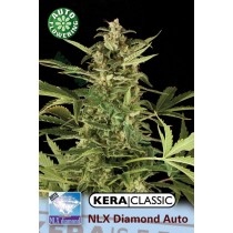 N.L.X. Diamond – Kera Seeds