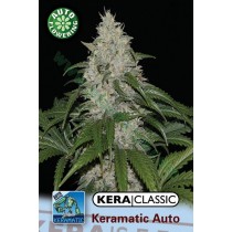 Kera Matic – Kera Seeds