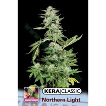 Northern Light – Kera Seeds