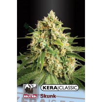 Shiva Skunk – Kera Seeds