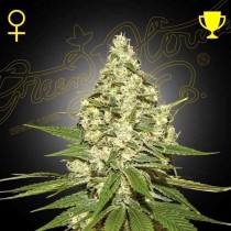 Super Lemon Haze Auto - Green House Seeds (Default)