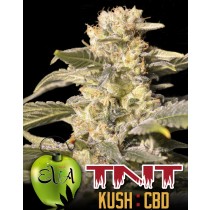 tnt-kush-cbd-eva-seeds-edicion-limitada