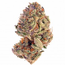 Tropicana Cookies - Houseplant Seeds - 22% THC