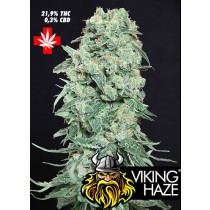 Viking Haze – Pure Seeds