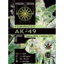 AK49 – Vision Seeds
