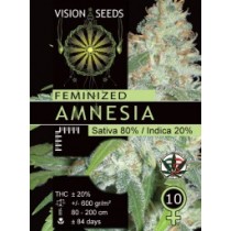 Amnesia – Vision Seeds