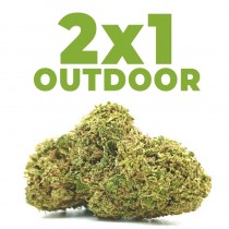 2x1 Cogollos de Flor Outdoor