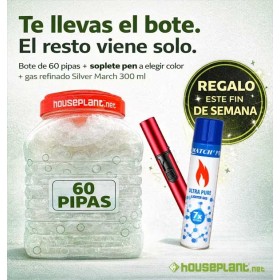 BOTE 60 PIPAS 10CM