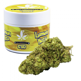 Lemon Haze Flores de CBD - Bee Products
