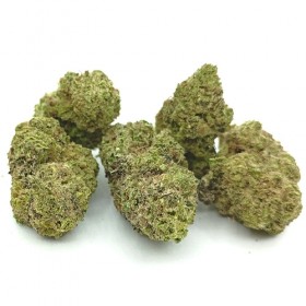 Cogollos de Flor de CBD al 14% - Chocolate Punch Indoor - 2gr