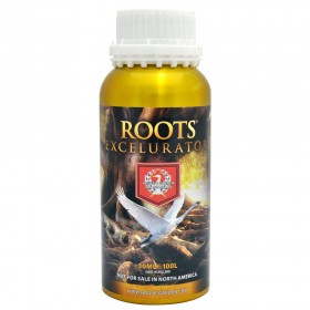 Roots Excelurator 250ml H&G