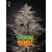 Banana Krumble - Green House Seeds