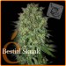 Bestial Skunk – Elite Seeds