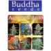 Assorted Mix Auto - Buddha Seeds