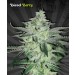 Diesel Berry – Auto Seeds