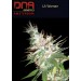 LA Woman 6 DNA