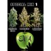 Special Mix 1 - Eva Seeds