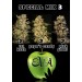 Special Mix 3 - Eva Seeds