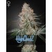 HighCloudZ - Green House Seeds
