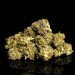 Flor de CBD - Lemon Haze Small Buds 10gr. Selected