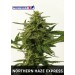 Northern Haze Express Femeninas - Positronics