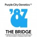 The Bridge - Purple City Genetics - 10 Semillas Regulares