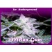 Melon Gum – Dr. Underground