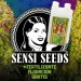 3 Semillas Sensi Seeds + Fertilizante de Regalo 