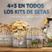3+1 Kit de Setas GRATIS