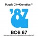 Bob 87 – Purple City Genetics - 10 Semillas Regulares
