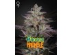 Banana Krumble - Green House Seeds