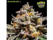 Brain Cake - Ripper Seeds