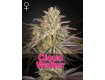 Cloud Walker - Green House Seeds