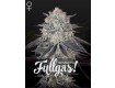 Franco's Fullgas! - Green House Seeds